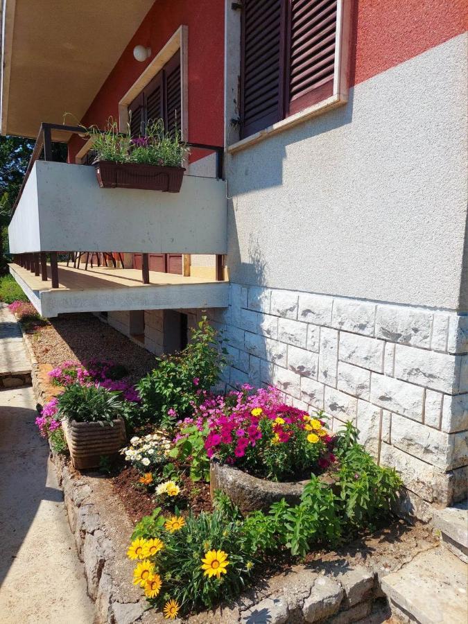 Rubin Apartment Ika Exterior photo